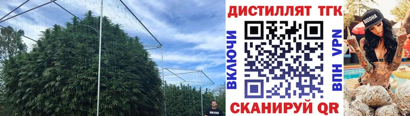 ТГК концентрат Лыткарино