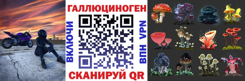 Галлюциногенные грибы мицелий  Лыткарино 